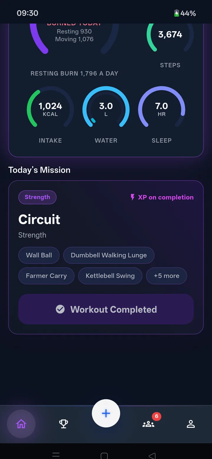 Home: rings for intake, water and sleep above today's Push Day and its four lifts.